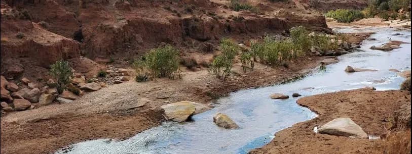 El Ghicha, joyau méconnu du Djebel Amour