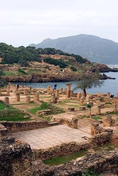 overview image