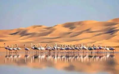 lac-oum-el-raneb-or-ouargla-ouargla-i1