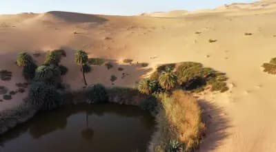 oasis-ain-tiba-or-ouargla-ouargla-i0