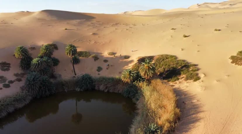 Oasis Ain tiba | Ouargla