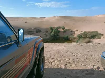 oasis-ain-tiba-or-ouargla-ouargla-i2