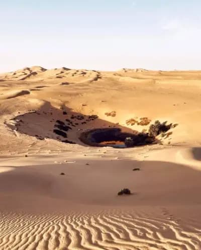 oasis-ain-tiba-or-ouargla-ouargla-i4