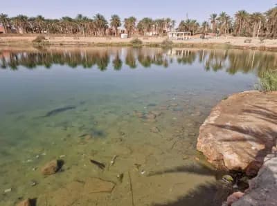 lac-tamasine-or-ouargla-ouargla-i1