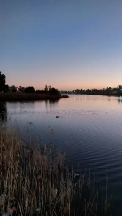 lac-tamasine-or-ouargla-ouargla-i2