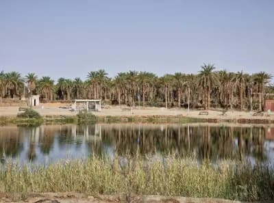 lac-tamasine-or-ouargla-ouargla-i4