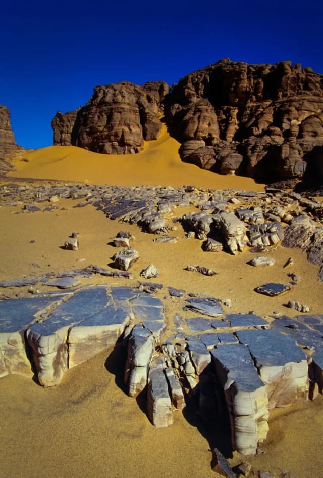 overview image