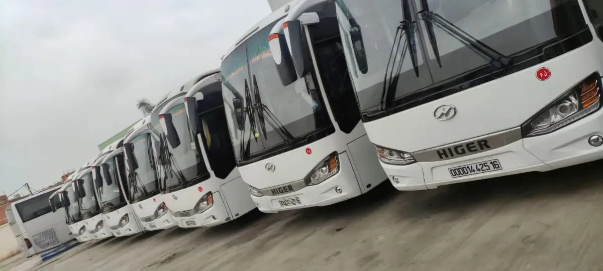 Transport Algérie – Higer 14 Places