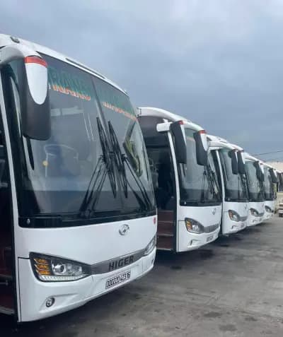 transport-algerie-higer-35-places-alger-i0