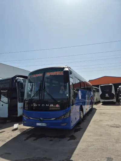 transport-algerie-higer-49-places-alger-i3