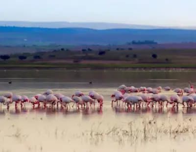 lac-de-telamine-oran-i0