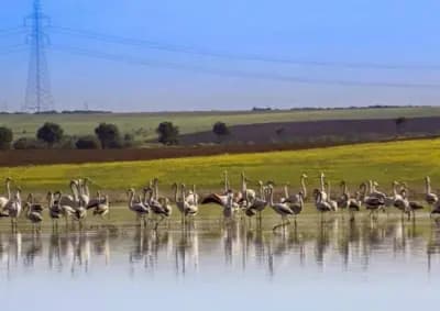 lac-de-telamine-oran-i3