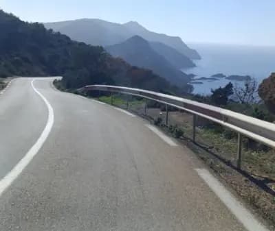 la-foret-de-madagh-oran-i5