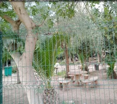 hammam-righa-or-ain-defla-ain-defla-i4