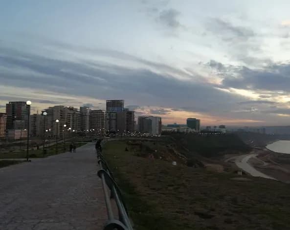overview image
