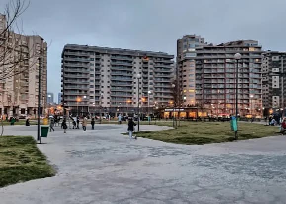 overview image