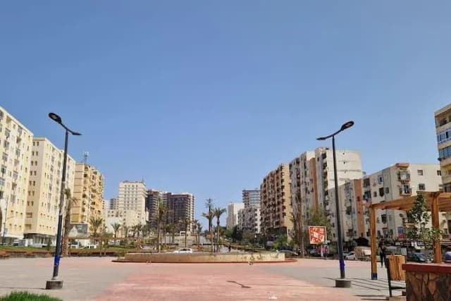 overview image