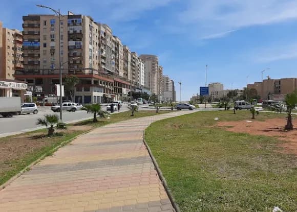 overview image