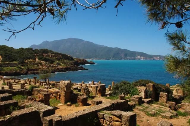 overview image