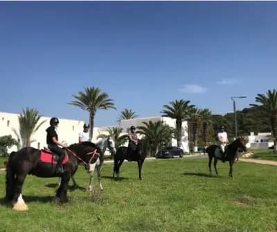 balade-a-cheval-tipaza-i2