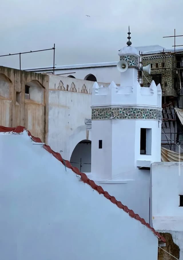 overview image