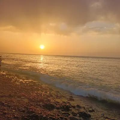 f2-a-5-min-de-la-mer-toute-equipee-tipaza-i0