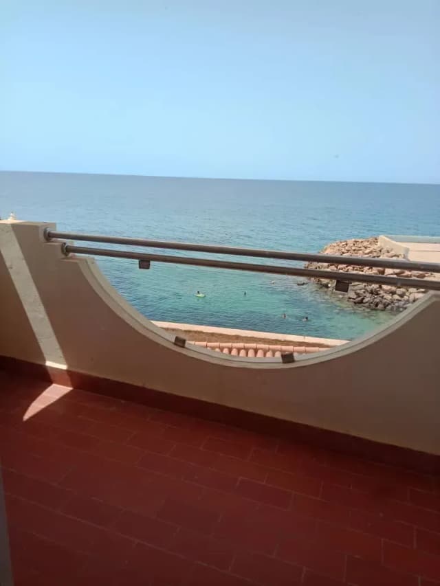 overview image