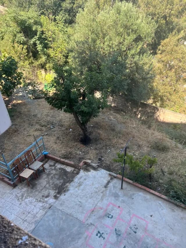 overview image