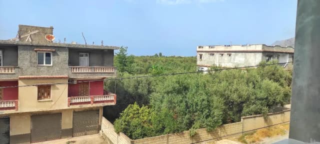 overview image
