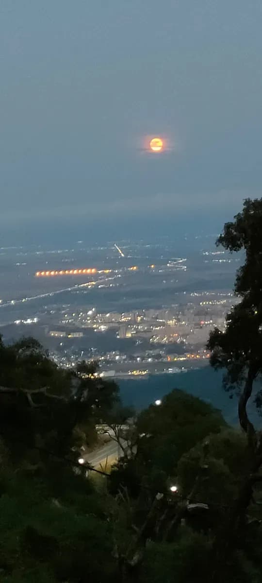 overview image
