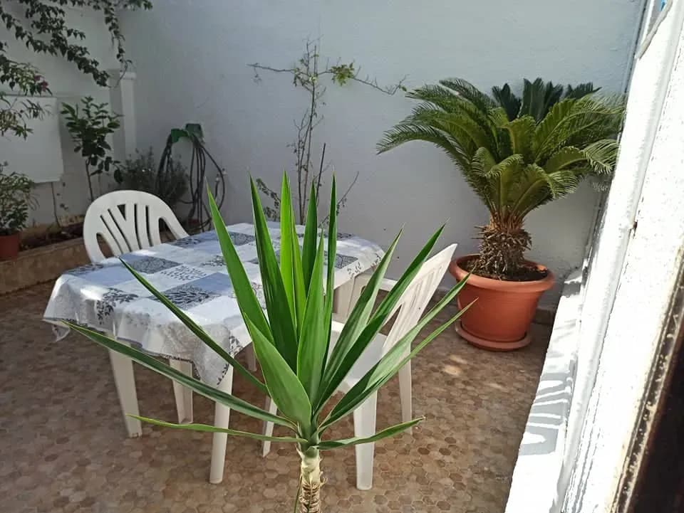Bungalow en bord de mer - Aïn Benian