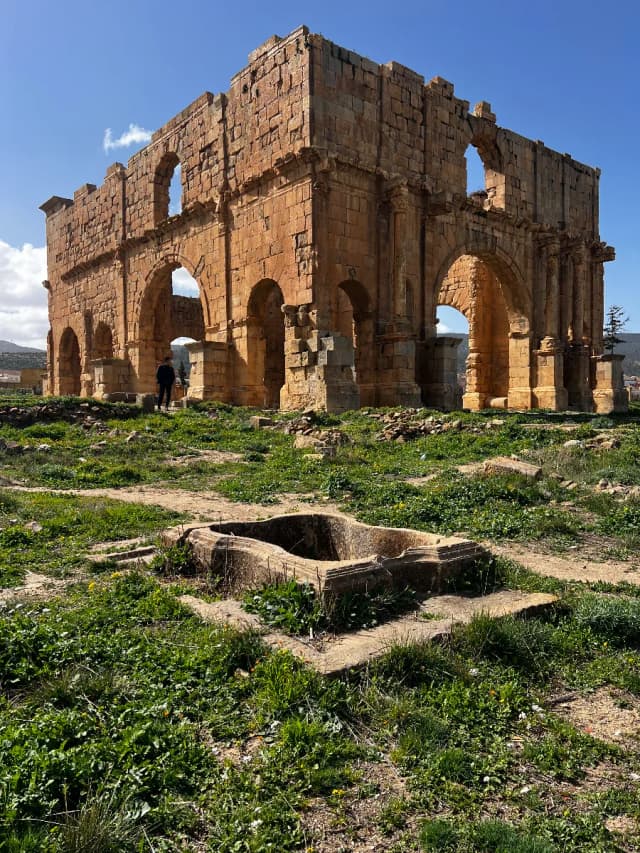 overview image