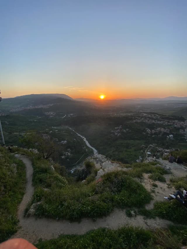 overview image