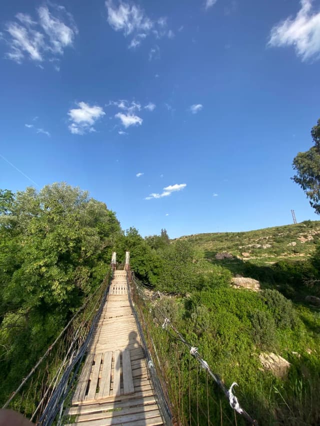overview image
