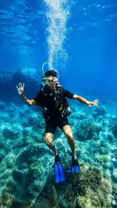 guide-touristique-de-la-wilaya-doran-oran-i1