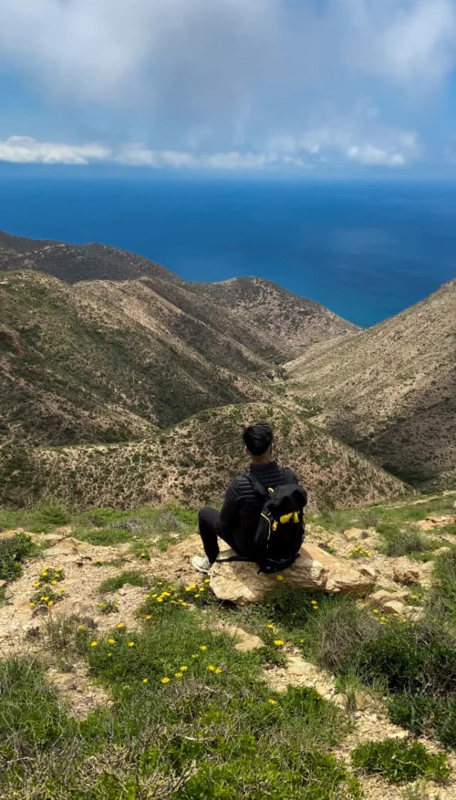 overview image