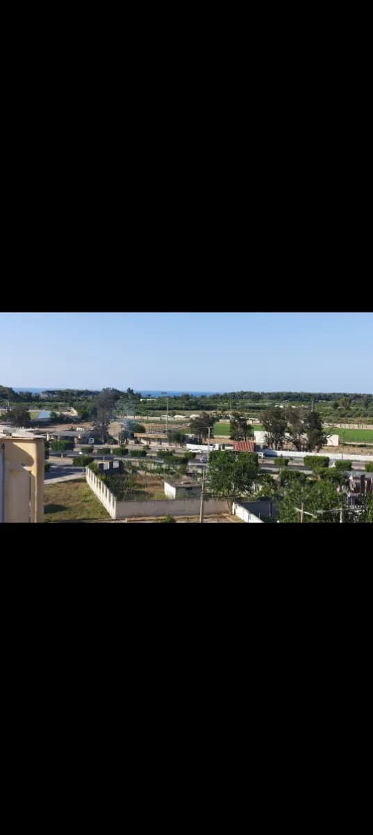overview image