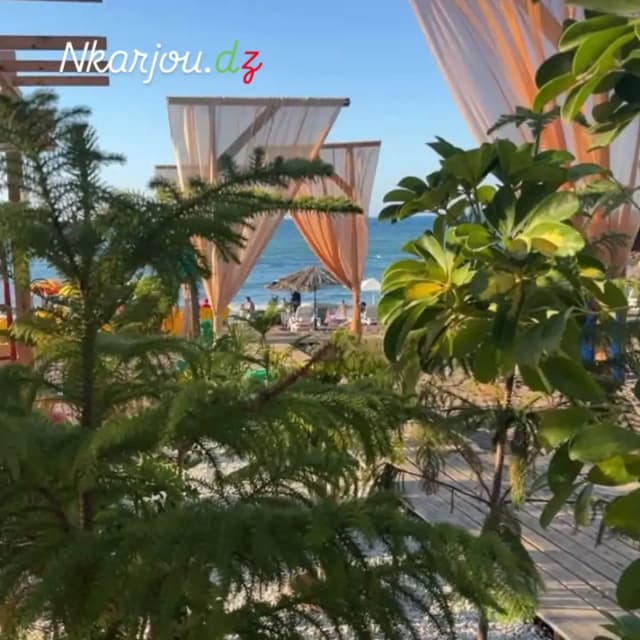 overview image
