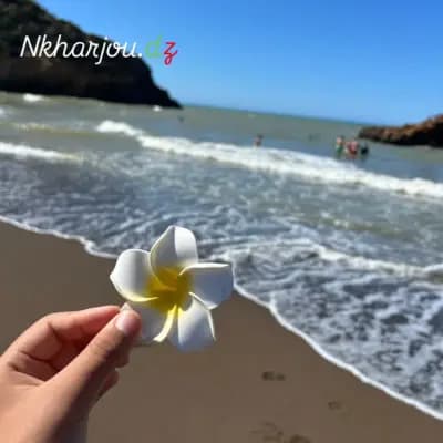 journee-plage-blida-i5