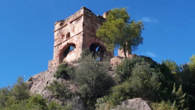 overview image