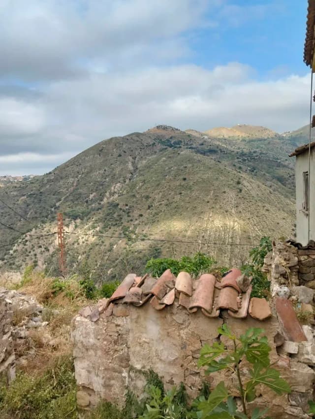 overview image