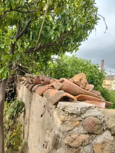 guide-touristique-vehicule-a-bejaia-bejaia-i3