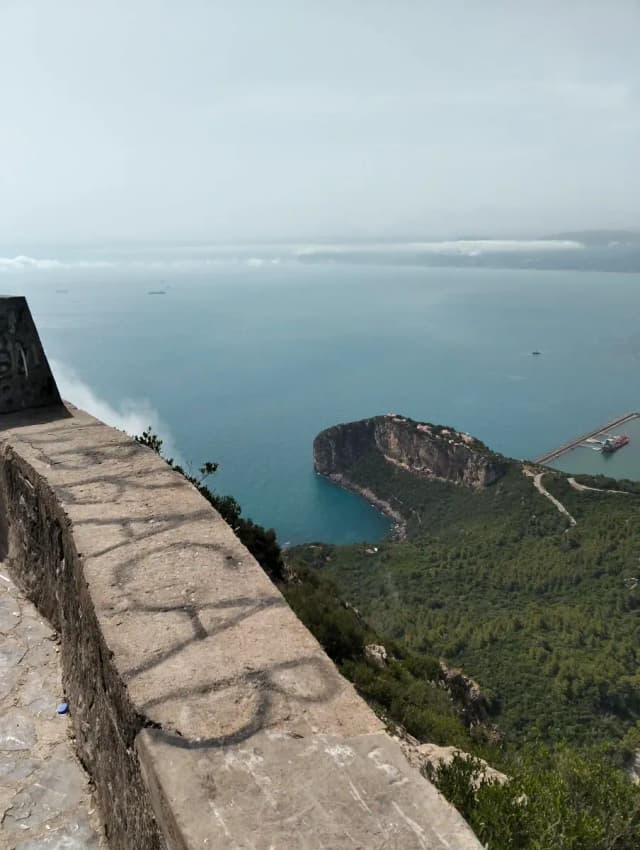 overview image