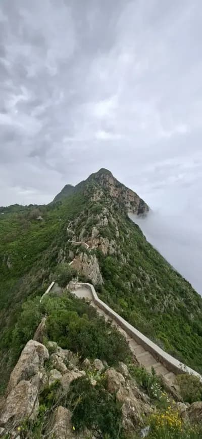 guide-touristique-vehicule-a-bejaia-bejaia-i7