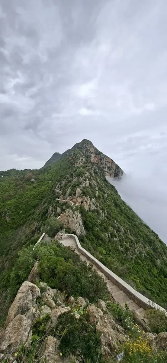 overview image