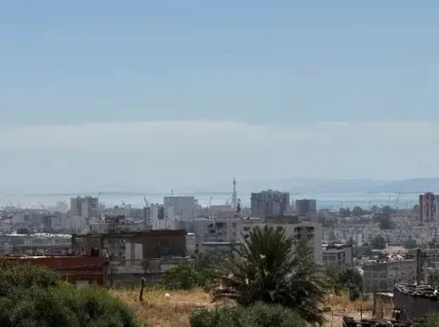 overview image