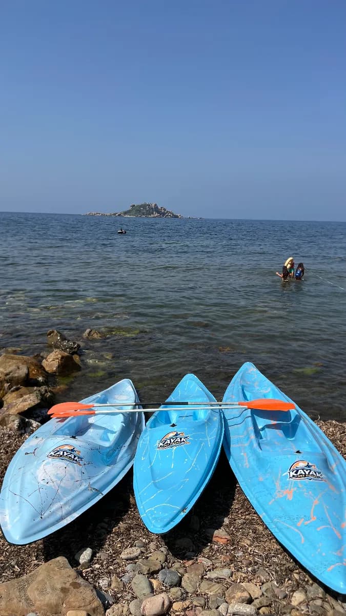 Sorties kayak