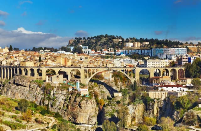 overview image