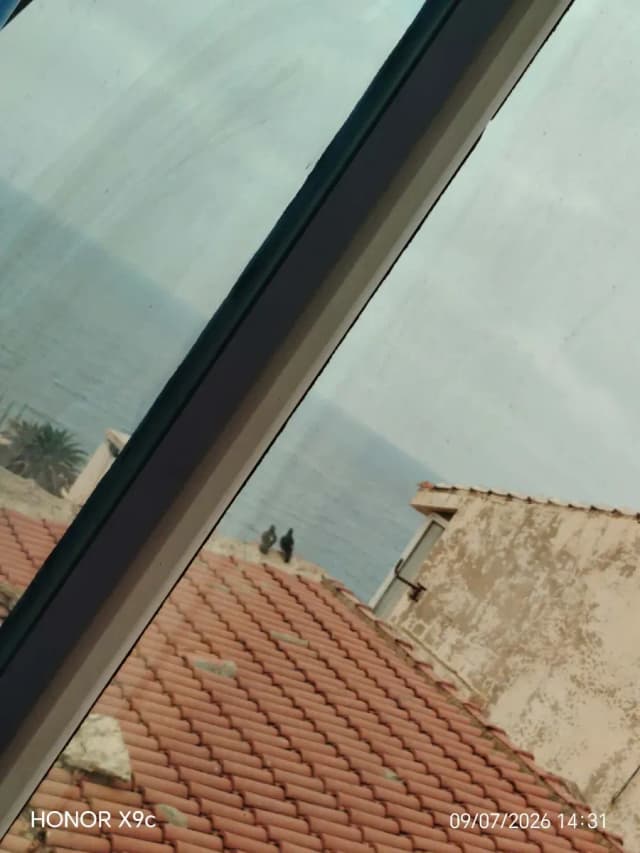 overview image