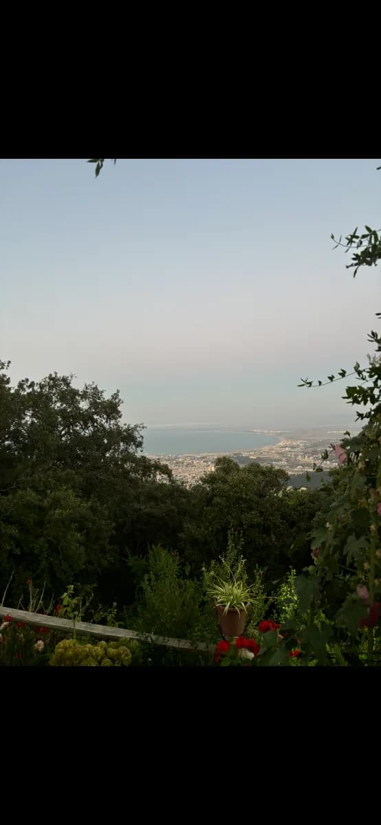 overview image